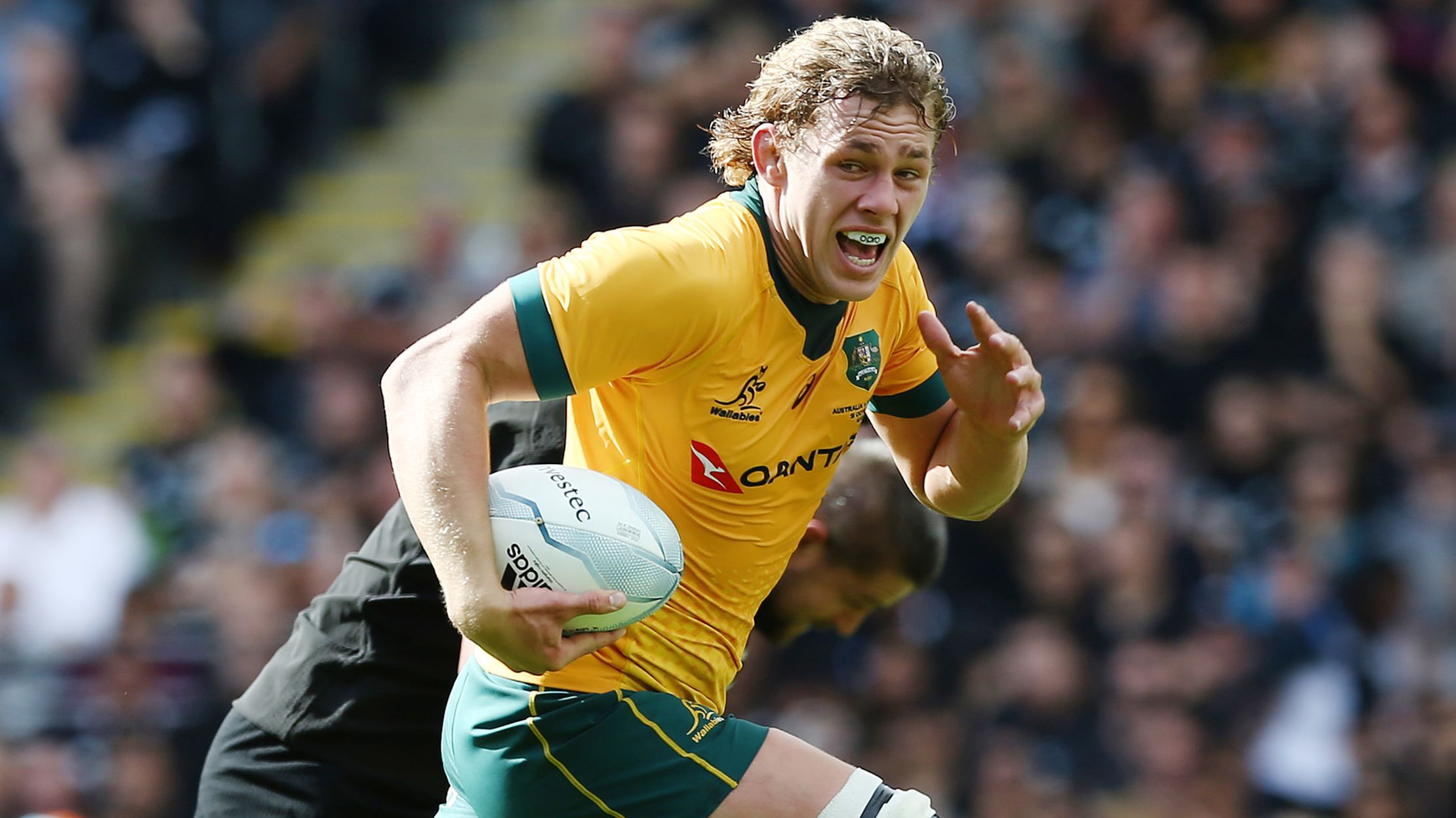Ned Hanigan of the Wallabies makes a break during the Bledisloe Cup.