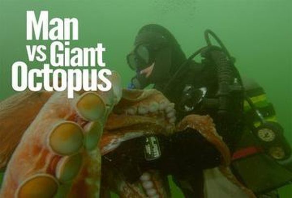 Man Vs Giant Octopus