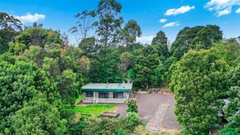 victorian property with endless options listed for under 500 thousand domain