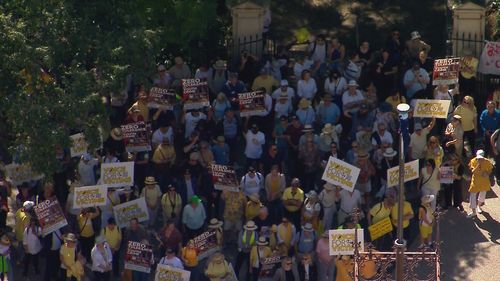 Hundreds of Queenslanders hit the streets in Brisbane to protest the state's youth crime laws.