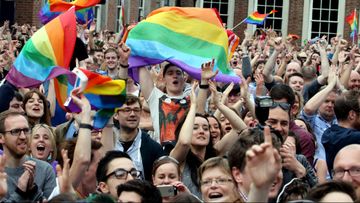 Gay marriage supporters in Ireland cheer after the referendum. (AFP)