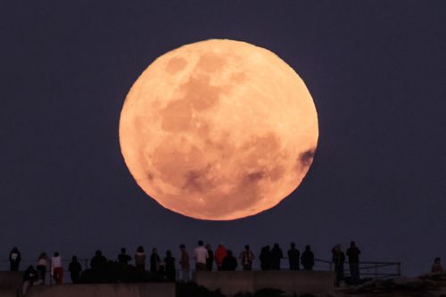 The super blue moon rises over Bondi Beach.  The rare phenomenon occurs when super moon, which occurs when the moon appears larger than usual, and a blue moon, or the second full moon in a month occur together.  31 August, 2023. Photo: Brook Mitchell