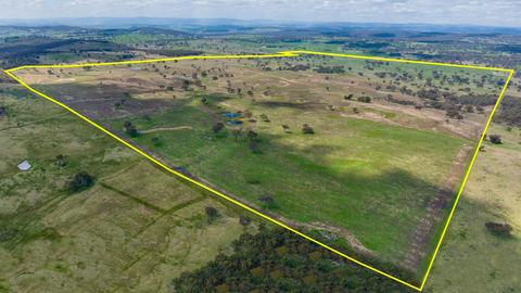 Property for sale in Bathurst, NSW, that's bigger than Sydney's CBD. 