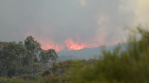 9NEWS cameraman Jayden Webster has captured fire crews working to control the Jervis Bay blaze. (Twitter)