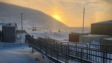 The woman was walking through the snow with her baby when the polar bear attacked.