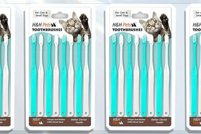 9PR: H&H Pets Small Dog & Cat Finger Toothbrush