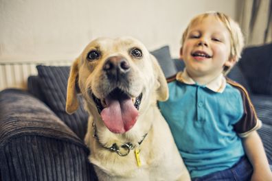 Happy smiling little boy with his Golden Labrador pet dog