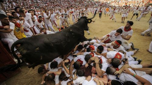Australian man gored in groin at Pamplona bull-run