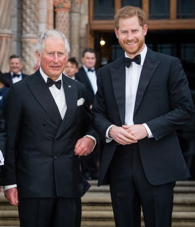 prince harry and king charles peace talks