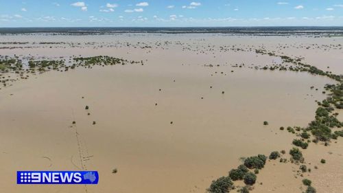 Le forti piogge nell'estremo nord del Queensland hanno dato il via ai soccorsi per gli automobilisti bloccati nelle acque alluvionali. I soccorritori salvano la vita alla donna di 65 anni bloccata sul tetto della sua auto a Mossman, a nord-ovest di Cairns, intorno alle 6 del mattino di oggi.