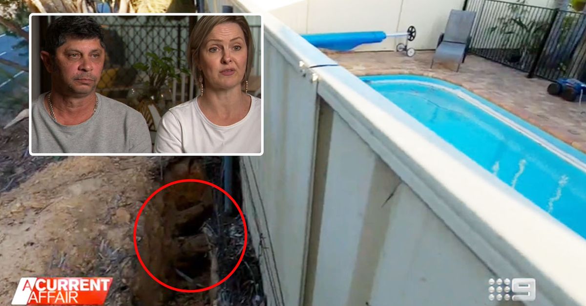 Aussie couples battle with Gold Coast City Council over tree root