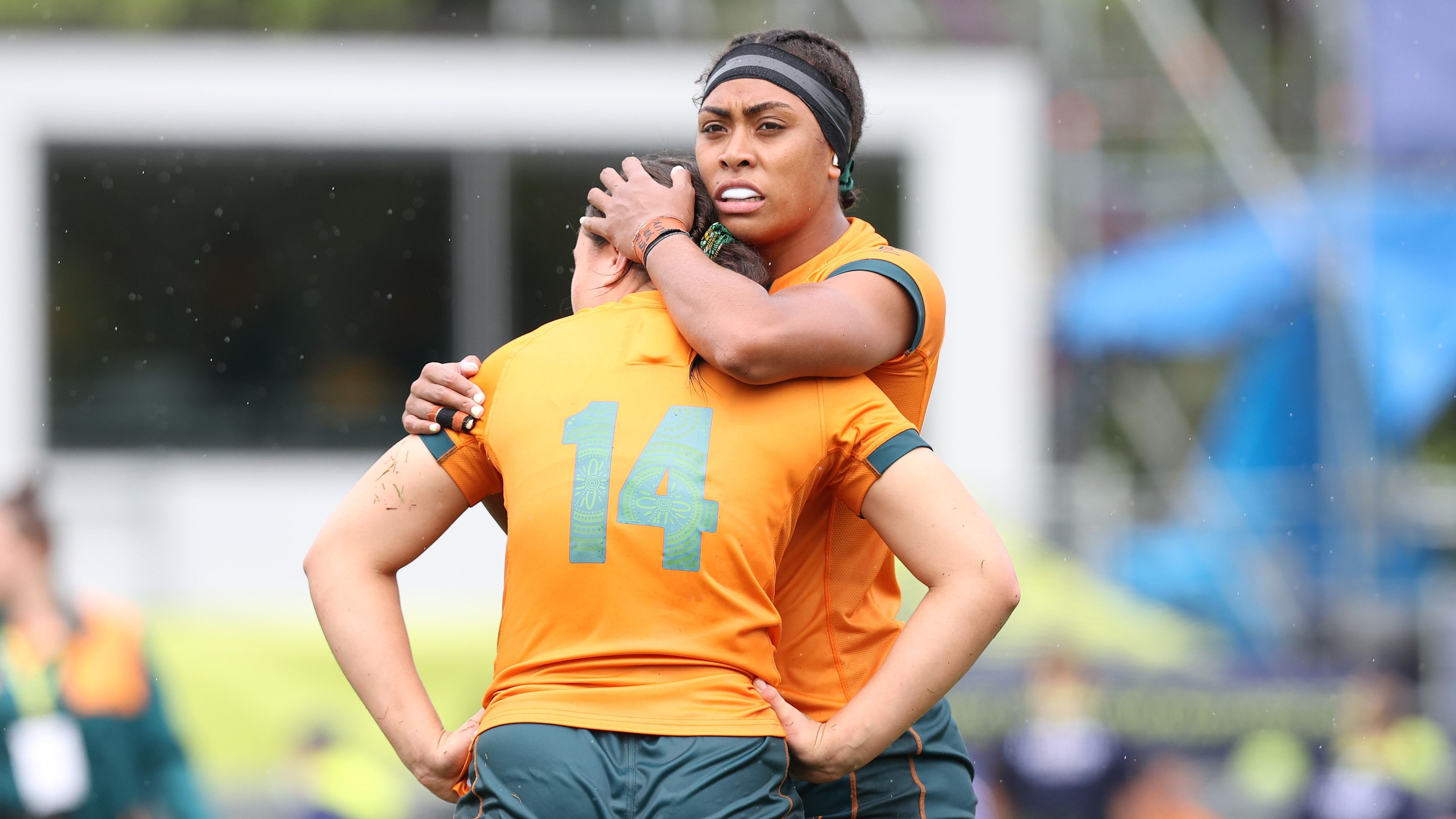 Veteran's plea after World Cup dream dashed
