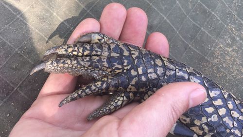 Natalia Cooper got up close and personal with a croc. (Supplied)