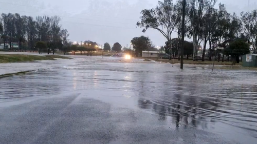Flash flooding seen at Kingaroy, where police are searching for a missing driver.