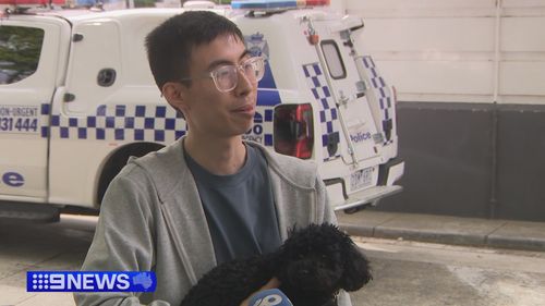 Dora the stolen cavoodle puppy found March 11 2026