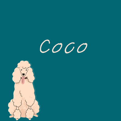 5. Coco