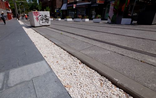 The strip of pebbles laid on Devonshire Street in central Sydney.