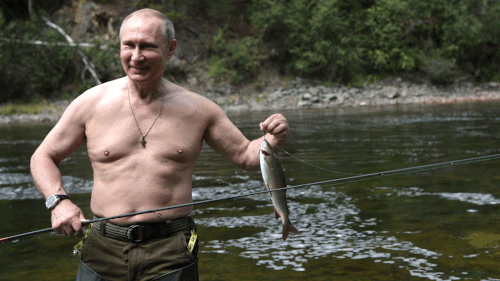 Even Russian President Vladimir Putin isn't shy about linking fish with a topless shot.