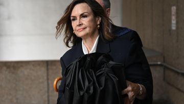 High-profile journalist Lisa Wilkinson has argued she never doubted Brittany Higgins&#x27; rape allegations as part of an attempt to overturn critical court findings about her reporting.