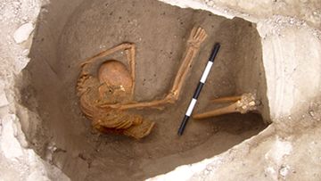 One of the excavated skeletons in Sidon, Lebanon. (Dr Claude Doumet-Serhal)