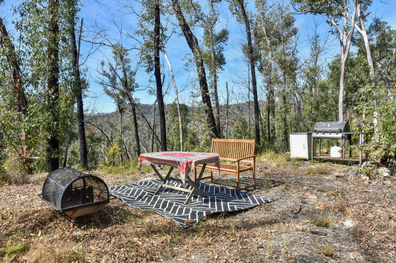 This could be Australia's tiniest cabin and it has just gone on the market.