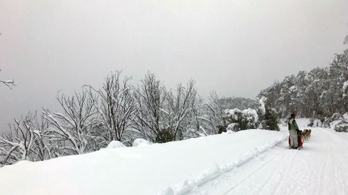 Warmer weather is expected to increase the risk of avalanches in Victoria's Alpine region, emergency services have warned. (AAP)