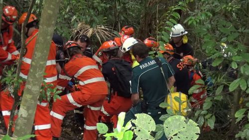 A woman has been crushed by a falling tree.