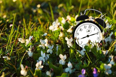Clock in the daylight grass