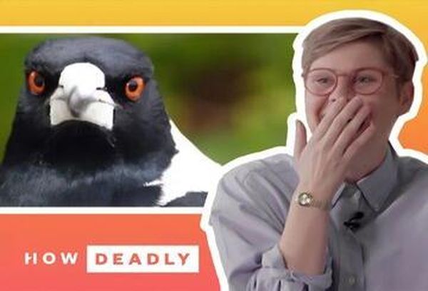 How Deadly: World