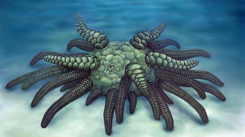 Scientists discover 430 million-year-old ‘Cthulhu’ fossil