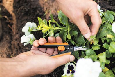 Gardening