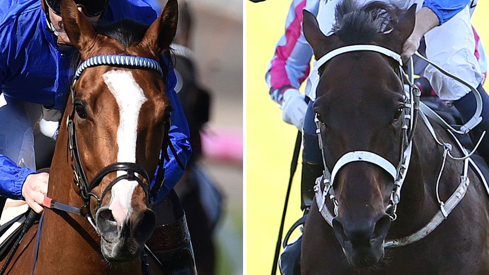 Hartnell and Winx will meet in the Cox Plate. (AAP)