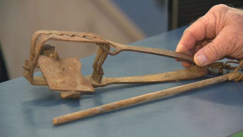 The RSPCA described the traps as "barbaric". Picture: 9NEWS