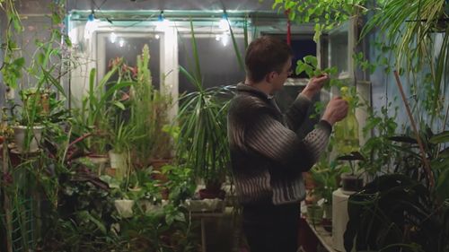 Norilsk man attends to plants in his apartment