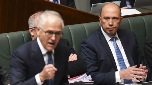 Peter Dutton orchestrated a party room coup against Malcolm Turnbull.