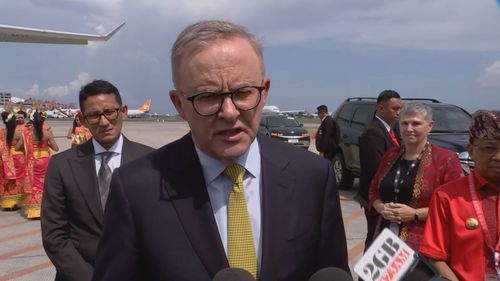 Anthony Albanese s'adresse aux journalistes après être descendu de l'avion à Bali.