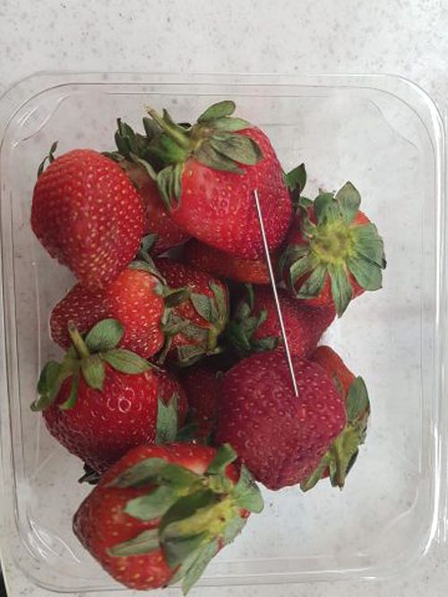 Strawberry growers are looking to install metal detectors in the wake of the contamination crisis.