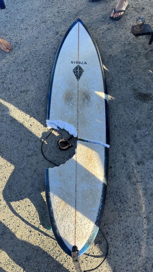 The shark took a large bite out of the surfer's board at Cabarita.