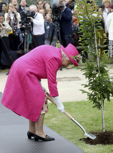 Queen says she is perfectly capable of planning a tree