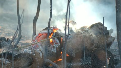 Smouldering logs at the Darwin River. (9NEWS)