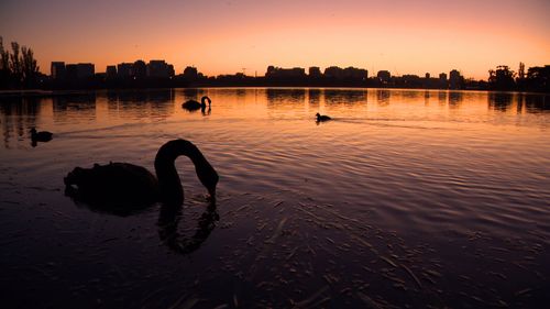 It's set to be the hottest first week of December in 24 years.