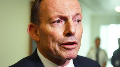 Scott Morrison has offered Tony Abbott a role as special envoy for indigenous affairs, but the former prime minister is yet to accept the appointment.