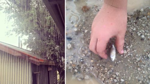 Heavy rain fell at the property northwest of Winton. (Facebook / Tahnee Oakhill)