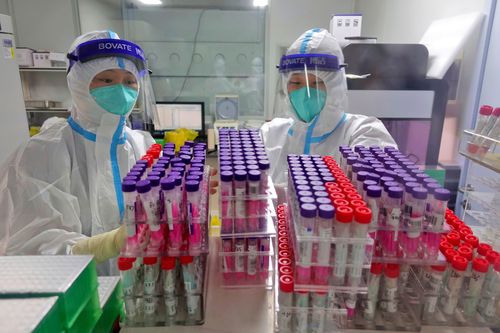 Workers handle swab samples for COVID-19 test at a hospital lab in Yantai in eastern China