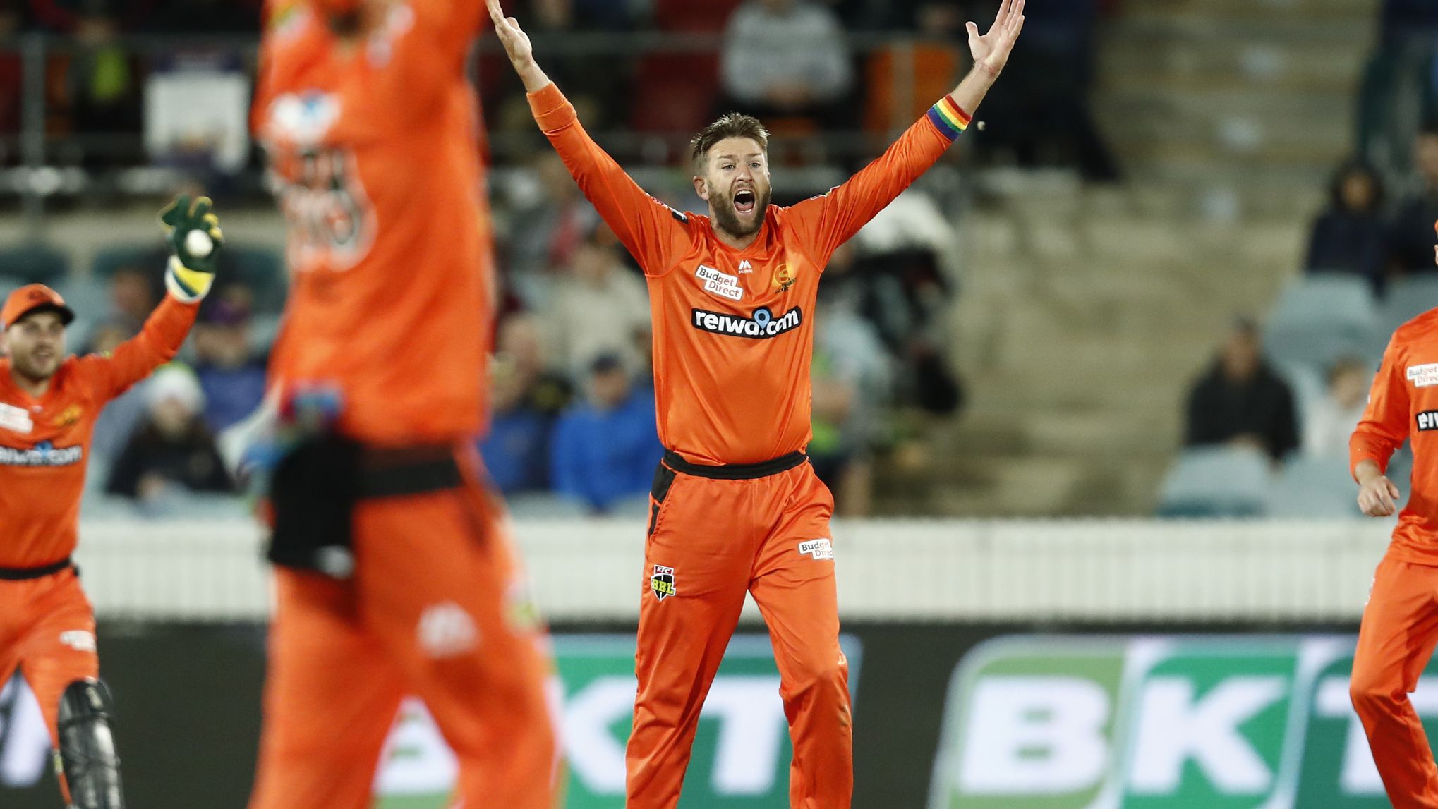 Andrew Tye of the Perth Scorchers appeals for caught behind.