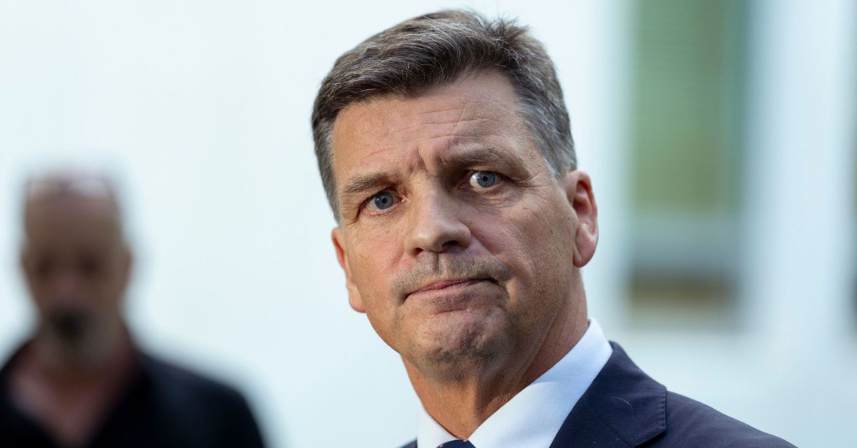 Who is Angus Taylor, explained