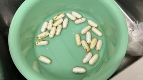 The men allegedly swallowed the pellets, and had to go to hospital to have them expelled.