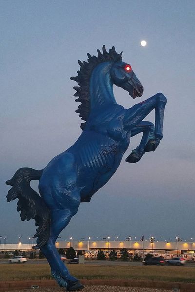 <strong>Denver, America: Blue Mustang</strong>