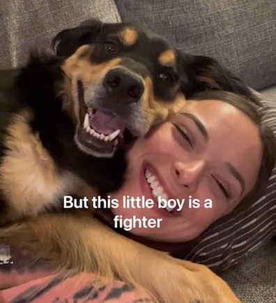 TikTok puppy