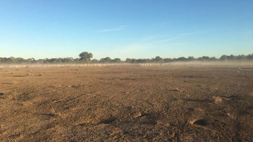 NSW farmer Krystal Haycock claims farmers are calling Aussie Helpers for help after first phoning other self-help phone lines. (Facebook)